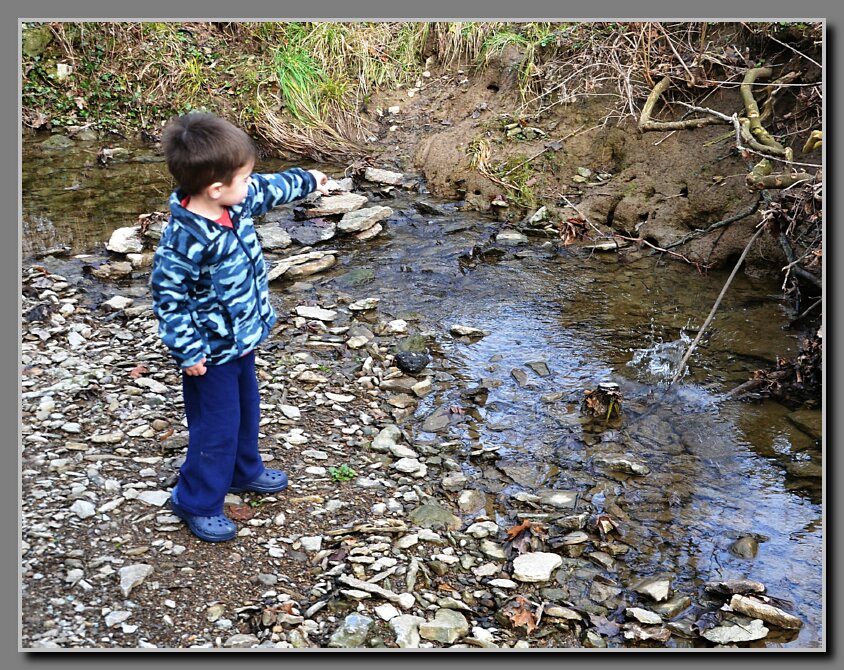 rock in creek